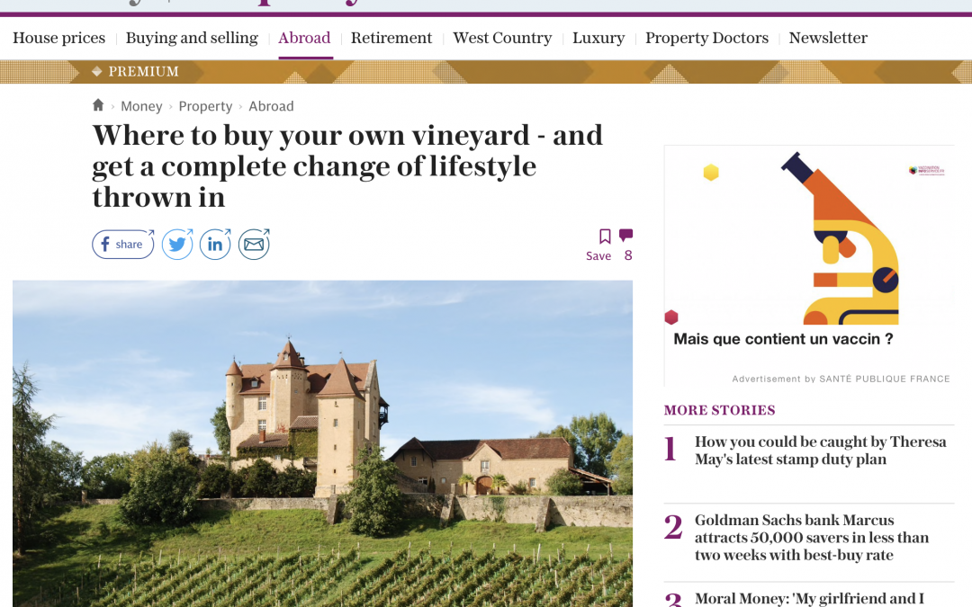 The Telegraph – Buying a vineyard