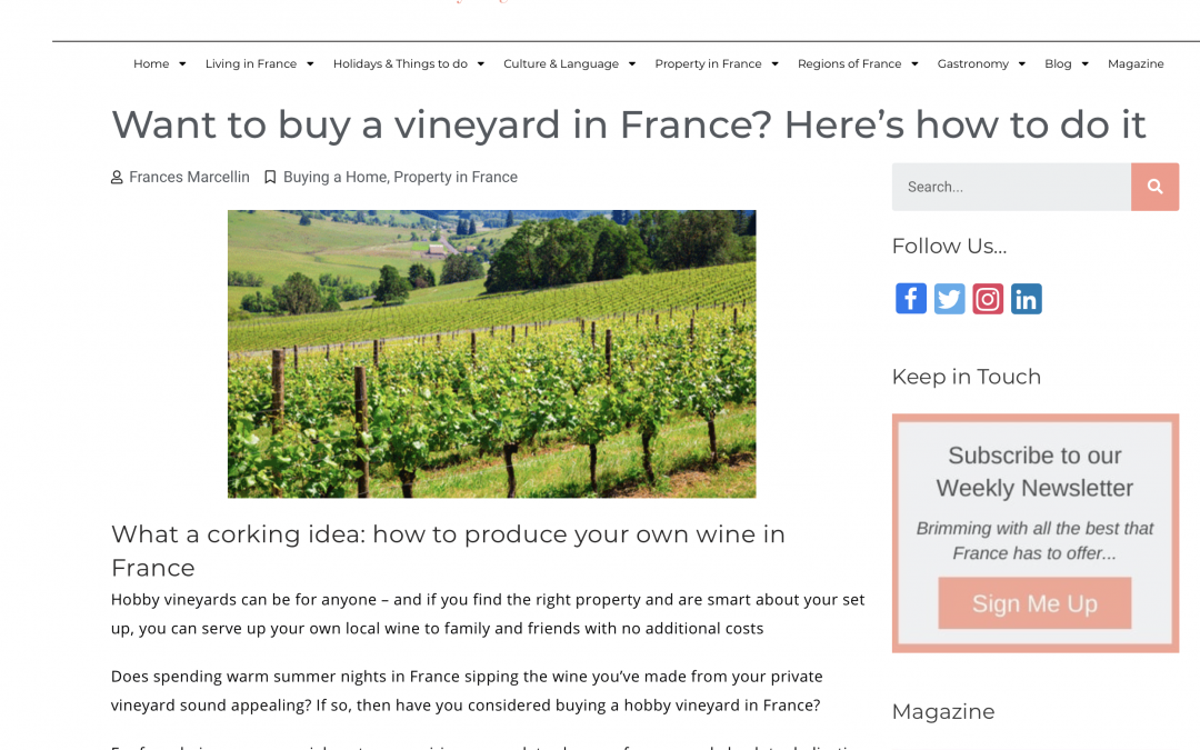 The Good Life France – Buying a French Vineyard
