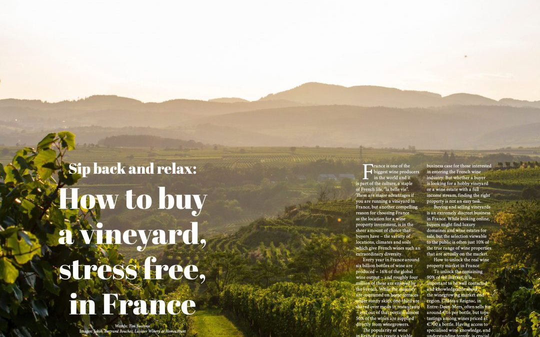Imperium Magazine – How to buy a French Vineyard